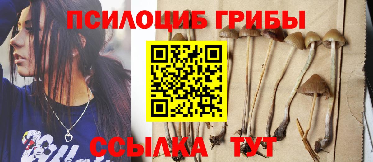 Галлюциногенные грибы мицелий Великие Луки